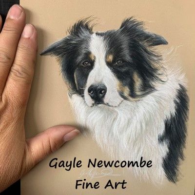 Gayle Newcombe  Fine Art